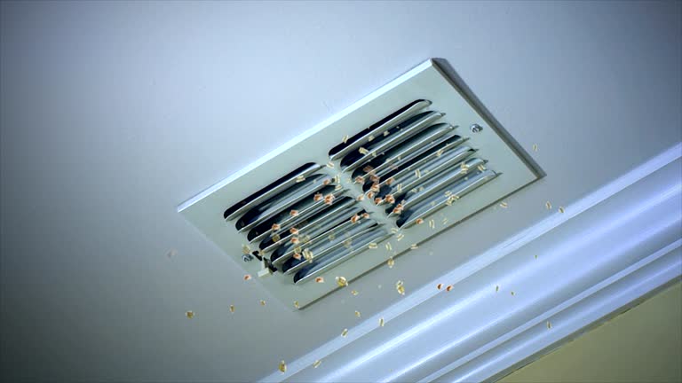 Best Air Duct Mold Removal  in Cullman, AL