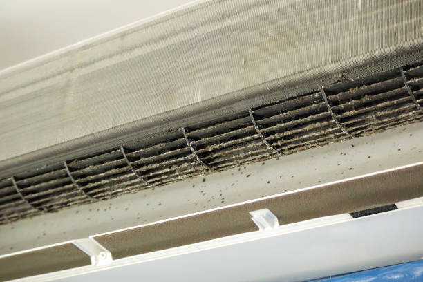 Best HVAC Air Duct Cleaning  in Cullman, AL