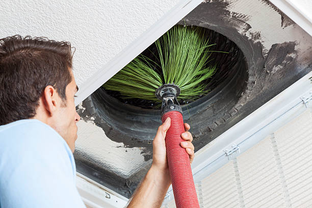 Best Residential Air Duct Cleaning  in Cullman, AL