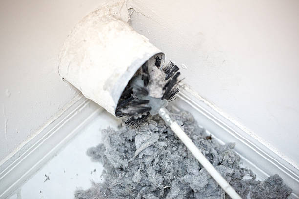 Air Duct Mold Removal in Cullman, AL